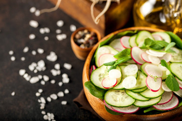 Fototapeta na wymiar Fresh vegetable garden radish and cucumber salad