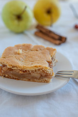 Apfelkuchen