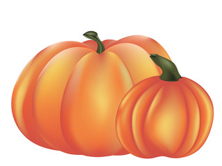 Detailed orange pumpkin