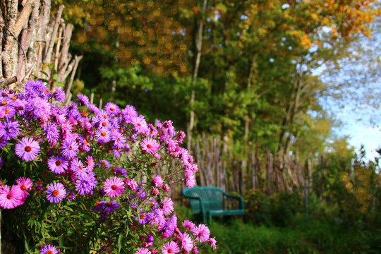 der herbst ist da