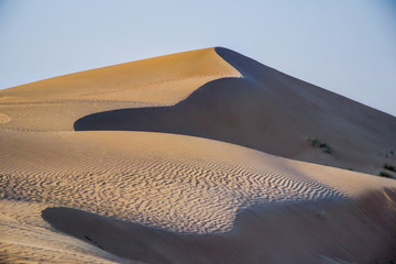 Fototapeta na wymiar Dubai Emirates desert sand dunes