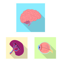 Vector design of body and human icon. Set of body and medical stock vector illustration.