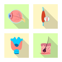 Vector illustration of body and human sign. Set of body and medical stock vector illustration.