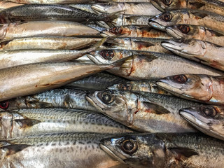 Close up of dead fish on ice in stall at the market.