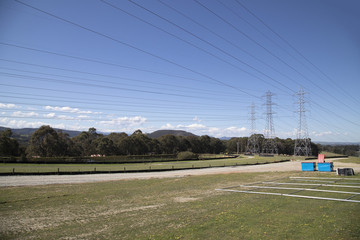 Landscape of field with power lines