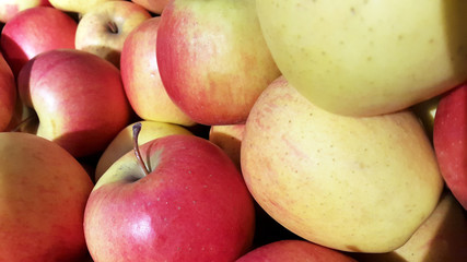 photo of fresh apples