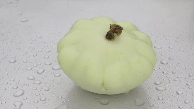 Rotation of a whole ripe squash, patisson in drops of dew lying on a white wet background.