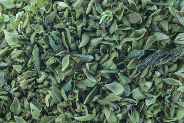 Top view macro oregano