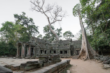 Fototapeta na wymiar Tempel in Ta Prohm mit Wurzeln 