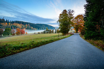 Fototapeta premium Straße mit Nebel in Landschaft im Herbst