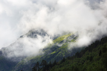 The slope of a mountain with vegetation is hidden by a cloud. Change of weather in the highland region of the Caucasus Mountains.