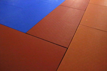 Colorful judo mats