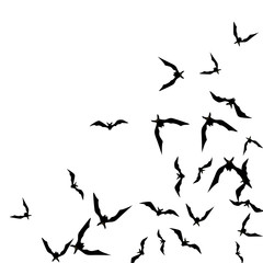 Halloween background with black bats on white. Halloween party card background template. black flying bats.