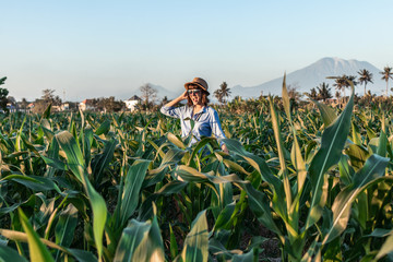 Young woman tourist traveler with straw hat on cornfield on a volcano Agung background at sunset time. Bali island. Mount Agung.