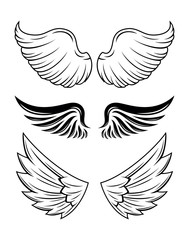Illustration Of Wings Collection Set