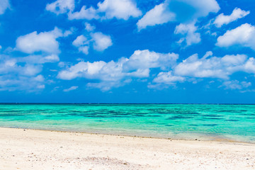 Obraz premium 沖縄石垣島 川平タバガー