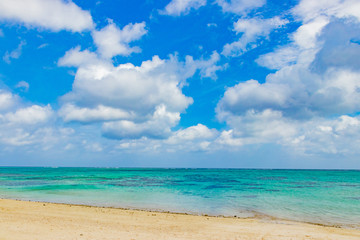 沖縄石垣島　川平タバガー