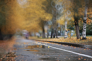 Autumn backgroun rain in the park