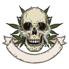 Skull. Rastaman skull with cannabis leafs and ribbon for your text.