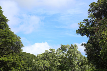 Obraz premium 하늘