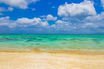 沖縄石垣島　川平タバガー