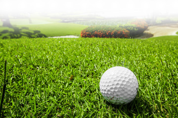 Golf ball on course