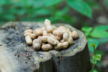 Peanuts in the nature