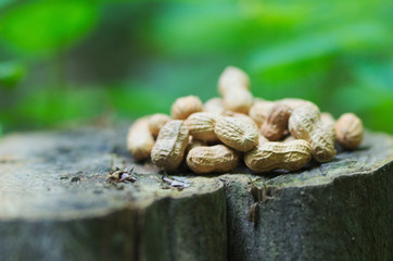 Peanuts in the nature