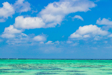 沖縄石垣島　川平タバガー