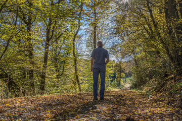 Einsamer Wanderer in einem Laubwald auf einem mit Laub bedeckten Weg