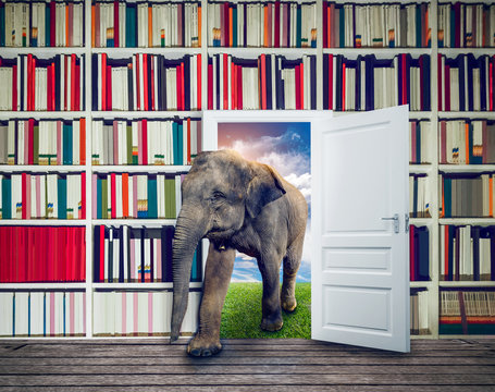 Elephant against book shelf in library