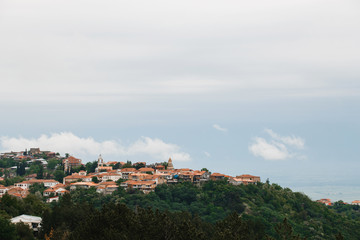 Obraz premium Residental buildings with red roofs