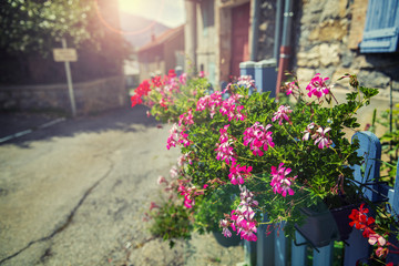 Flowers on the streets of small old town in Provence, France