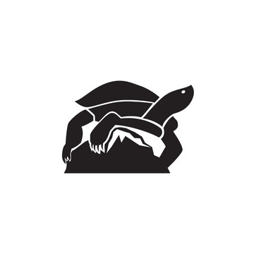turtle logo