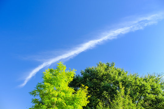 竜雲 Images Browse 10 Stock Photos Vectors And Video Adobe Stock