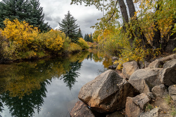 Fall color and reflection on the Roaring River, Aspen, Colorado