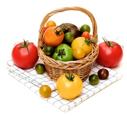 Fresh Colorful Tomatoes