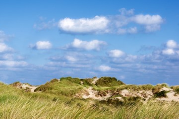 Sand Dunes with Grass