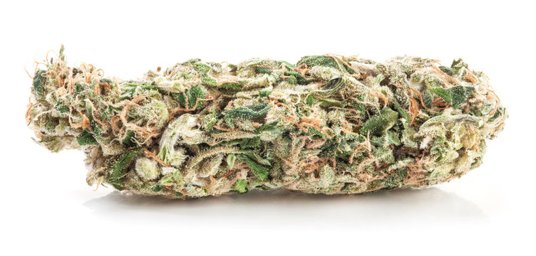 Medical marijuana isolated on white background. Therapeutic and medicinal cannabis