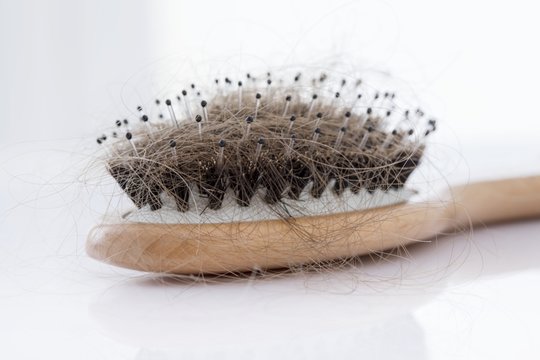 Hairbrush covered with hair