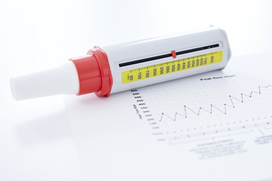 Peak flow meter