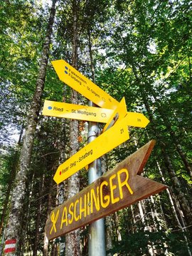 Direction Sign Found In A Florest In St Wolfgang, Austria