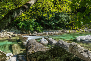 Fototapeta premium Tarcento, stony banks of the Torre river