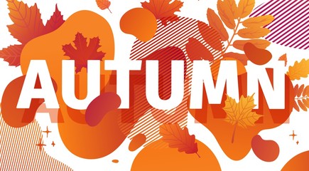 Horizontal abstract geometric design for autumn promotion. Fall offer banner with vector liquid form and decor maple leaf on background. Orange template graphic elements with fluid dynamic shape