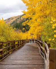 Fototapeta na wymiar Women hiking along the East of Aspen Trail which Parallels the Roaring River with trees at full fall colors, Aspen Colorado