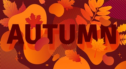 Horizontal abstract geometric design for autumn promotion. Fall offer banner with vector liquid form and decor maple leaf on brown background. Orange template graphic elements with fluid dynamic shape
