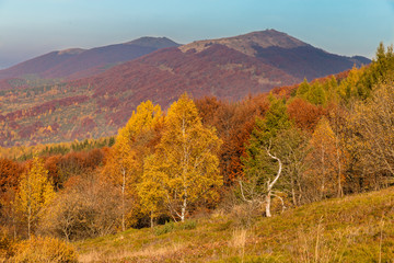 autumn in the mountains, Bieszczady