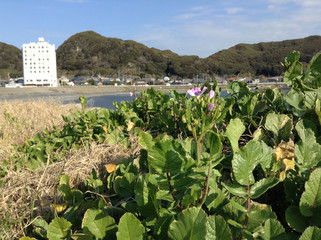 aerial view of tropical island