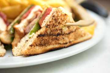 sandwich toast grilled with cheese and meat