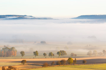 Fototapeta premium Morning fog over the fields in a rural landscape with autumn colors